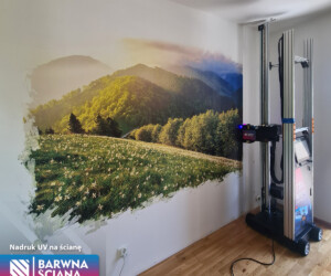 Druk na ścianie w domu – górski krajobraz | Barwna Ściana